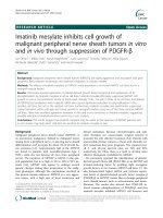 Imatinib mesylate inhibits cell growth of malignant peripheral nerve sheath tumors in vitro and in vivo through suppression of PDGFR-β