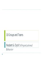 Lecture Organizational behavior – Chapter 10: Groups and teams