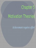 Lecture Organizational behavior - Chapter 5: Introducing organizational behavior