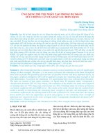 Ứng dụng trí tuệ nhân tạo trong dự đoán sức chống cắt của đất sau biến dạng