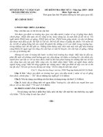 Đề thi học kì 1 môn Ngữ văn 12 năm 2019-2020 có đáp án - Sở GD&ĐT thành phố Đà Nẵng