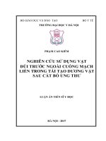 (Luận án tiến sĩ) Nghiên cứu sử dụng vạt đùi trước ngoài cuống mạch liền trong tái tạo dương vật sau cắt bỏ ung thư