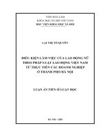 Điều kiện làm việc của lao động nữ theo pháp luật lao động Việt Nam từ thực tiễn các doanh nghiệp ở thành phố Hà Nội