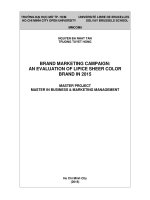 brand marketing campaign an evaluation of lipice sheer color brand in 2015 