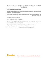 Đề thi chọn học sinh giỏi quốc gia môn Ngữ văn lớp 12 năm học 2019-2020 – Bộ Giáo dục và Đào tạo