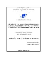 các yếu tố tác động đến quyết định mua sắm của ngƣời tiêu dùng tại các trung tâm thƣơng mại ở thành phố hồ chí minh 
