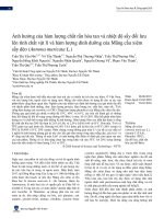 Ảnh hưởng của hàm lượng chất rắn hòa tan và nhiệt độ sấy đối lưu lên tính chất vật lí và hàm lượng dinh dưỡng của Mãng cầu xiêm sấy dẻo (Annona muricata L.)