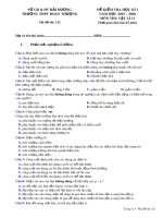 Đề thi học kì 1 môn Vật lí 11 năm 2019-2020 có đáp án - Trường THPT Đoàn Thượng