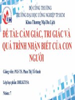 CẢM GIÁC TRI GIÁC VÀ QUÁ TRÌNH NHẬN THỨC CỦA CON NGƯỜI-TÂM LÝ HỌC ĐẠI CƯƠNG