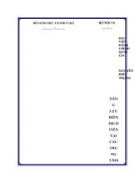 Năng lực biên dịch viên tại các trung tâm lưu trữ quốc gia, cục văn thư và lưu trữ nhà nước 