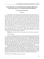 Sinh trưởng các lâm phần rừng trồng phòng hộ chắn gió, chắn cát ven biển tỉnh Thanh Hóa