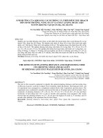 Ảnh hưởng của khoảng cách trồng và thời điểm thu hoạch đến sinh trưởng, năng suất và chất lượng dược liệu xuyên khung tại Quản Bạ, Hà Giang