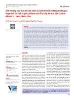 Ảnh hưởng của một số tiền chất và elicitor đến sự tăng trưởng và hoạt tính ức chế α-glucosidase của rễ tơ cây Ké hoa đào (Urena lobata L. ) nuôi cấy in vitro