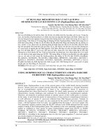 Sử dụng đặc điểm hình thái và mã vạch DNA để định danh Lan Hài hương lan (Paphiopedilum emersonii)