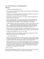 Câu-hỏi-Bảo-Vệ