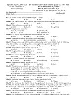 4 DE THPT MON HOA NAM 2019