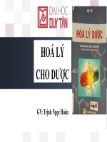 Hoa ly duoc   hoa keo   2017 converted (1)