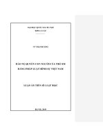 Bảo vệ quyền con người của trẻ em bằng pháp luật hình sự việt nam 