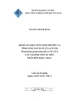 Khảo Sát Khả Năng Sinh Trưởng Và Tính Năng Sản Xuất Của Cỏ Voi (Pennisetum Purpureum) Qua Các Lứa