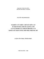 Nghiên cứu điều chế sét hữu cơ từ bentonit (trung quốc) với cetyltrimetylamoni bromua và khảo sát khả năng hập phụ phenol đỏ 