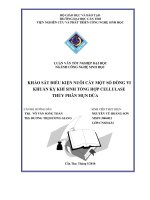 Khảo Sát Điều Kiện Nuôi Cấy Một Số Dòng Vi Khuẩn Kỵ Khí Sinh Tổng Hợp Cellulase Thủy Phân Mụn Dừa