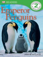 emperor penguins dk readers l2 
