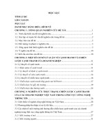 Nghiên cứu lý thuyết và thực tiễn chiến lược cạnh tranh của các doanh nghiệp việt nam trong lĩnh vực công nghệ thông tin 