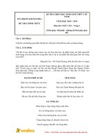 Đề thi chọn học sinh giỏi cấp tỉnh môn Ngữ văn lớp 12 năm học 2018-2019 – Sở Giáo dục và Đào tạo Khánh Hòa