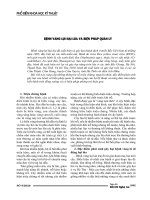 Bệnh vàng lụi hại lúa và biện pháp quản lý