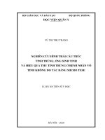 Nghiên cứu hình thái cấu trúc tinh trùng, ống sinh tinh và hiệu quả thu tinh trùng ở bệnh nhân vô tinh không do tắc bằng micro TESE