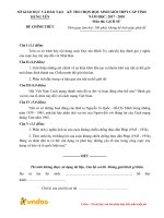 Đề thi chọn học sinh giỏi cấp tỉnh môn Lịch sử lớp 12  năm học 2017-2018– Sở Giáo dục và Đào tạo Hưng Yên