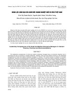 Năng lực lãnh đạo của giám đốc doanh nghiệp nhỏ và vừa ở Việt Nam