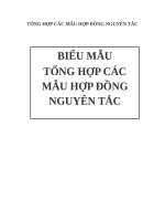 07 mẫu hợp đồng nguyên tắc thông dụng
