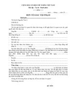 Đơn tố giác tội phạm vay tiền không trả