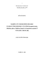 Nghiên cứu thành phần hóa học và hoạt tính sinh học của nấm hexagonia tenuis, phellinus gilvus, phellinus baumii và ganoderma australe ở vùng bắc trung bộ 