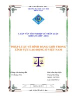 Pháp Luật Về Bình Đẳng Giới Trong Lĩnh Vực Lao Động Ở Việt Nam