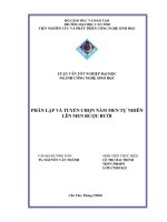 Phân Lập Và Tuyển Chọn Nấm Men Tự Nhiên Lên Men Rượu Bưởi