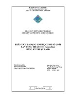 Phân Tích Đa Dạng Sinh Học Một Số Loài Lan Rừng Thuộc Chi Dendrobium Bằng Kỹ Thuật RAPD