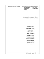 Nghiên cứu chế tạo chip sợi nano vàng ứng dụng trong định lượng hàm lượng cholesterol tự do trong dung dịch  luận văn ths  vật liệu và linh kiện nanô 