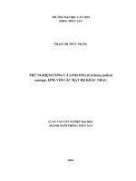 Thử Nghiệm Ương Cá Linh Ống (Cirrhinus Jullieni Sauvage, 1878) Với Các Mật Độ Khác Nhau