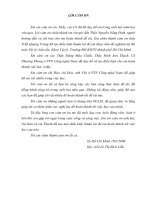 Nghiên cứu tính chất điện sắc của màng nanô WO3 chế tạo bằng phương pháp điện hóa  luận văn ths  công nghệ vật liệu 