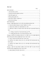 Tiểu luận Kinh tế học quản lý Nghiên cứu tổng quan về hiệp định đối tác xuyên Thái Bình Dương TTP.