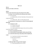 Nghiên cứu các chuyển pha và hiệu ứng thay thế trong các perovskite maganite luận án TS  vật lý62 44 07 01 