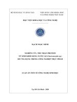 Nghiên cứu, thu nhận protein từ sinh khối rong nước lợ (chaetomorpha sp ) để ứng dụng trong công nghiệp thực phẩm 