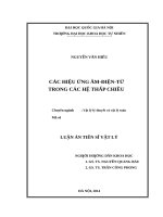 Các hiệu ứng âm   điện   từ trong các hệ thấp chiều 