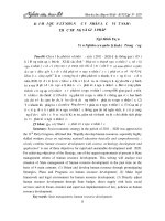 Đổi mới quản lý nhà nước về nhân lực ở Việt Nam: Thực trạng và giải pháp