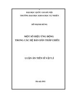 Một số hiệu ứng động trong các hệ bán dẫn thấp chiều  