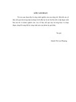 Nghiên cứu chế tạo, khảo sát khả năng xúc tác điện hóa của vật liệu điện cực tổ hợp và định hướng ứng dụng trong pin nhiên liệu kiềm 