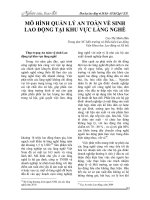 Mô hình quản lý an toàn vệ sinh lao động tại khu vực làng nghề