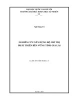 Nghiên cứu xây dựng bộ chỉ thị phát triển bền vững tỉnh gia lai   